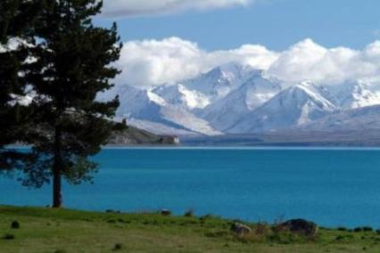 Twizel – Ghé Thăm Nông Trại Địa Phương - Queenstown